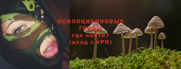 винт Новозыбков