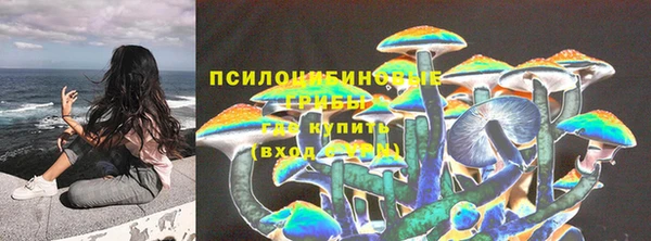 гидра Нязепетровск