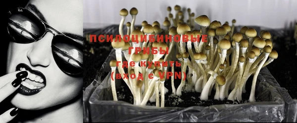 ECSTASY Новокубанск
