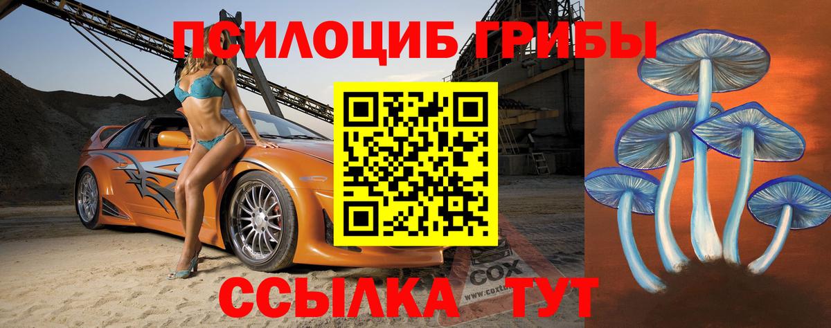 Галлюциногенные грибы Psilocybine cubensis Чистополь