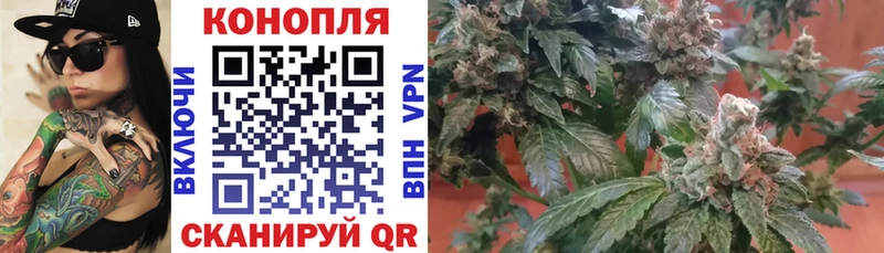 Бошки Шишки сатива цены Чистополь